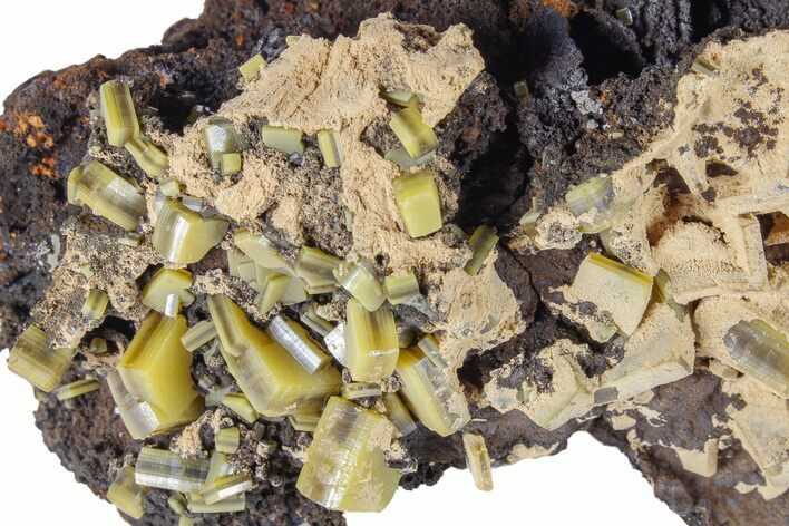 Sandwich Wulfenite Crystal Cluster - Ojuela Mine, Mexico #183422